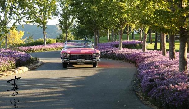 平凡的生活并不代表认输,平凡生活总会有不如意的时候