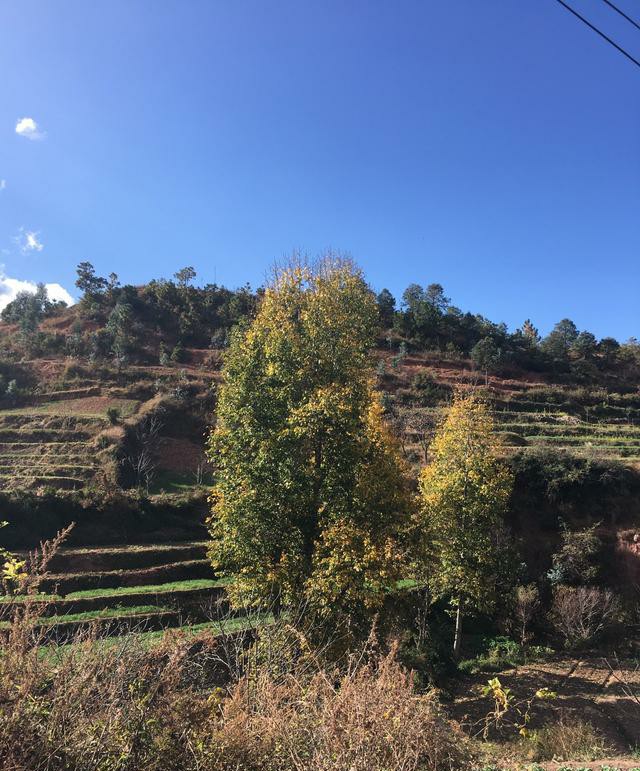 大家对云南的印象怎么样,云南在其他省份人的印象