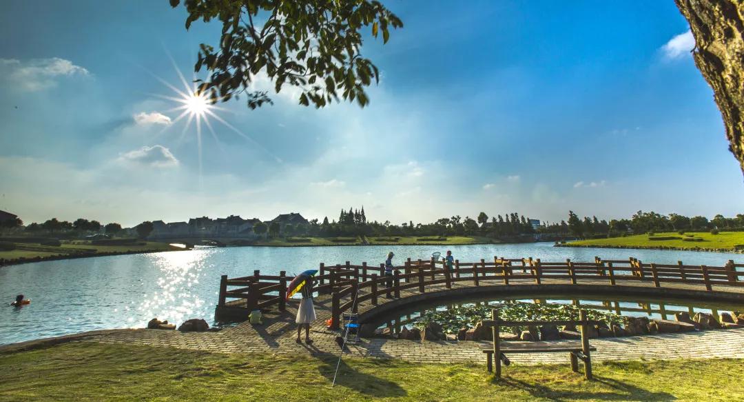 上海市民一日游最佳攻略,上海市民修身行动阅读