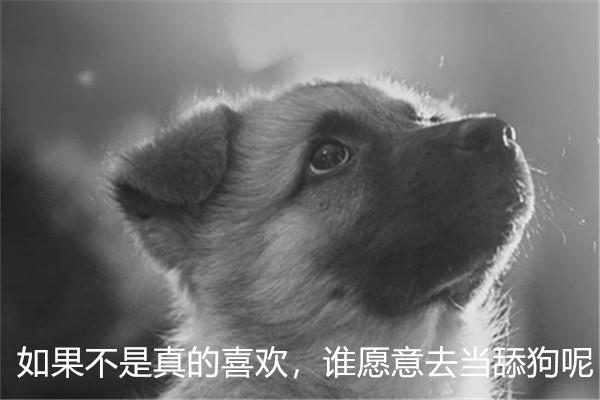 *牙虎**天秀杯:包子大战深海鱼迎来劫局,缘分已烬,完美谢幕