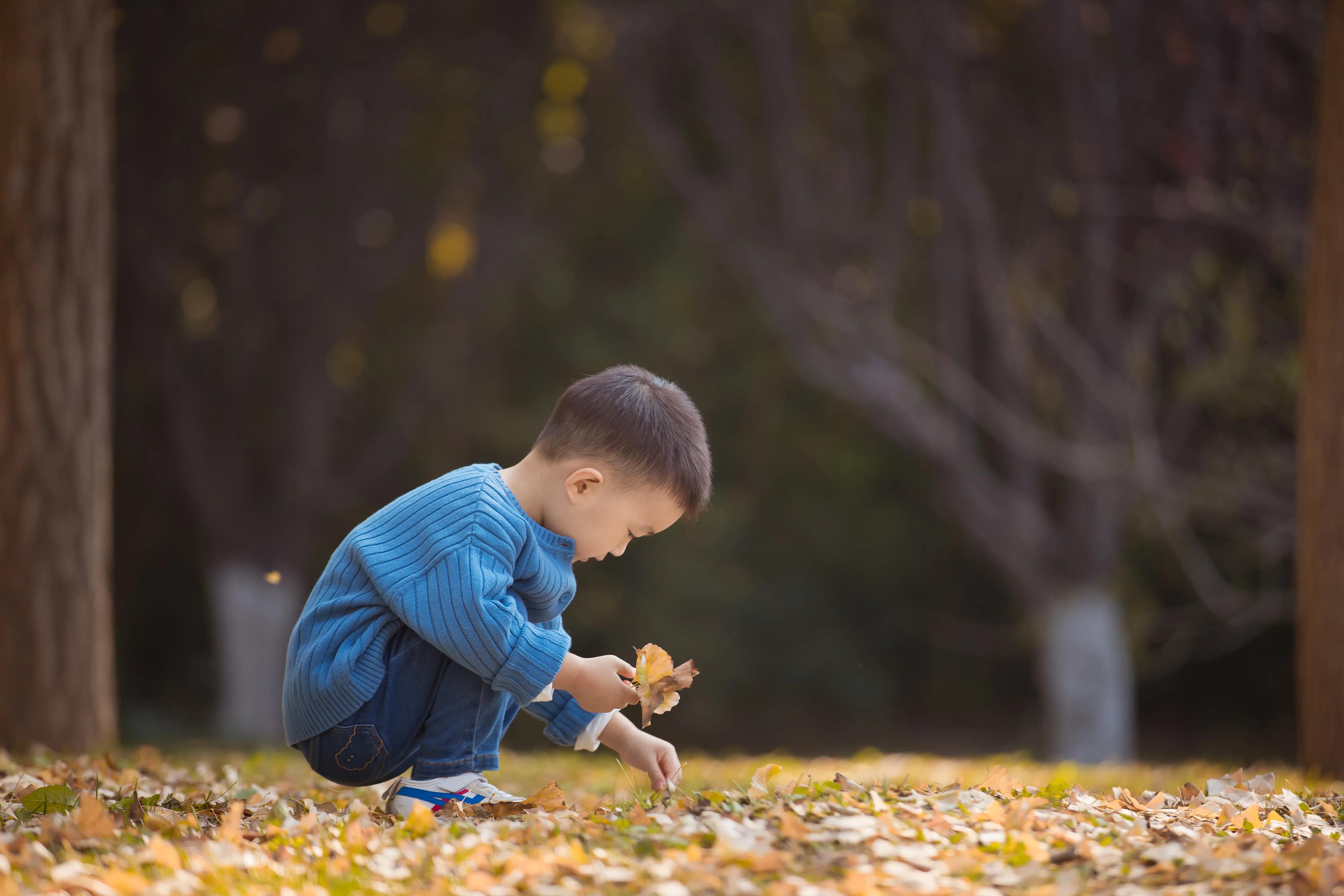 奥森游玩攻略,奥森亲子游玩