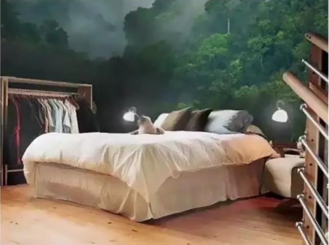 隔音墙纸怎么安装最有效,墙纸怎么选视频教程