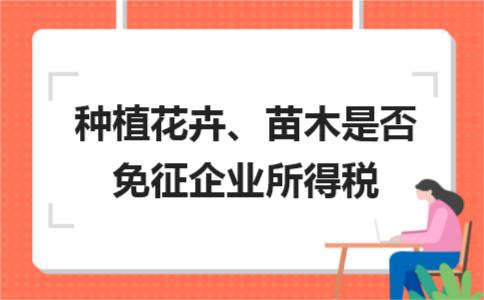 花卉苗木种植是免增值税吗,苗木花卉销售免企业所得税