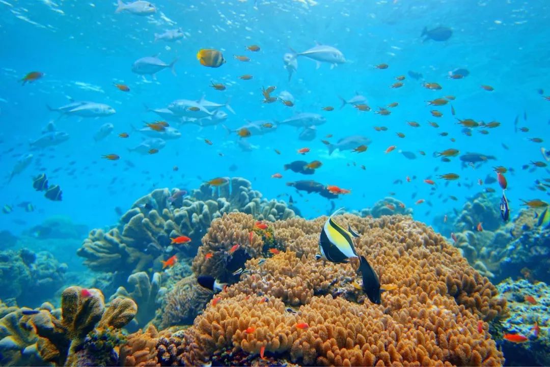 东南亚适合旅游的地方,东南亚旅游十大必去地方