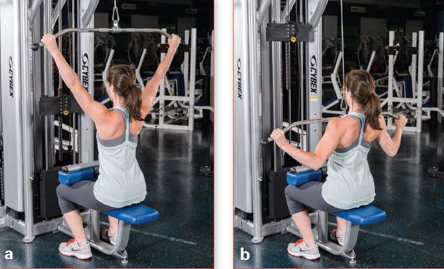 增肌一周各部位训练计划表,增肌训练计划每天练习不同部位