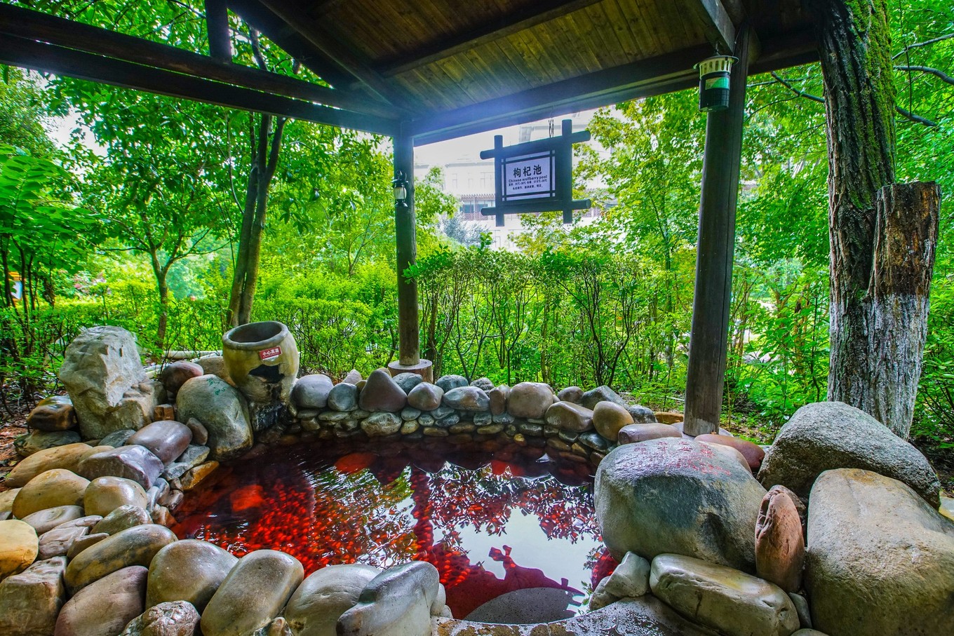 长沙一天一夜亲子游冬天,长沙小众避暑亲子游