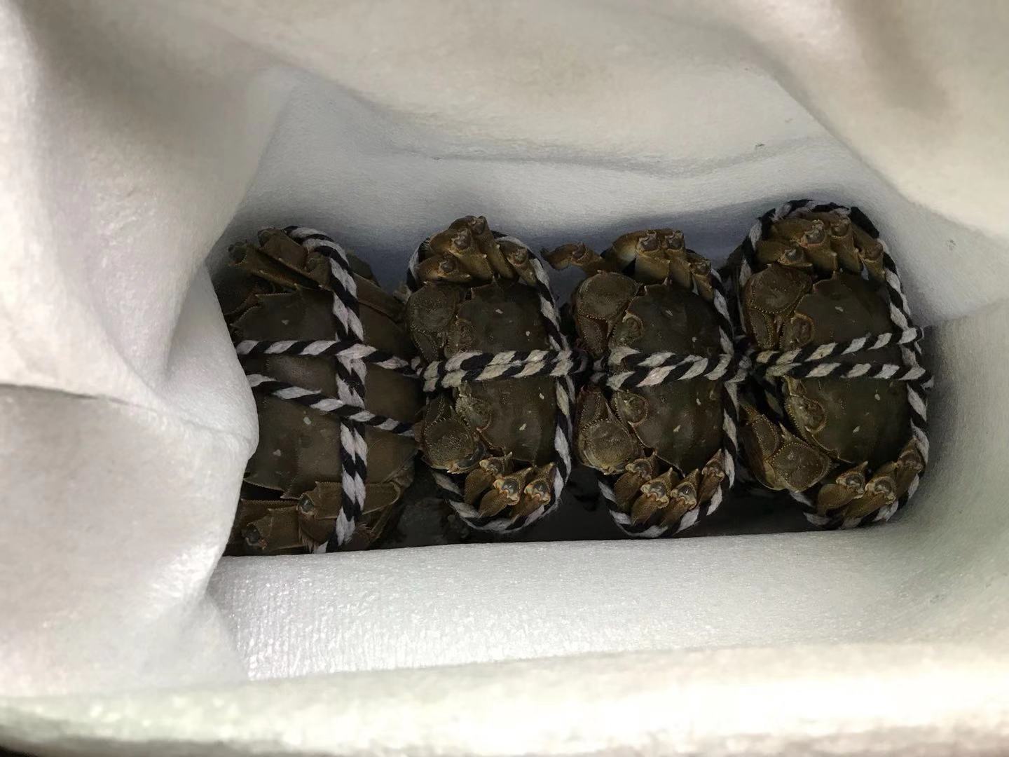 中秋吃什么螃蟹经济实惠,中秋必备的清蒸螃蟹