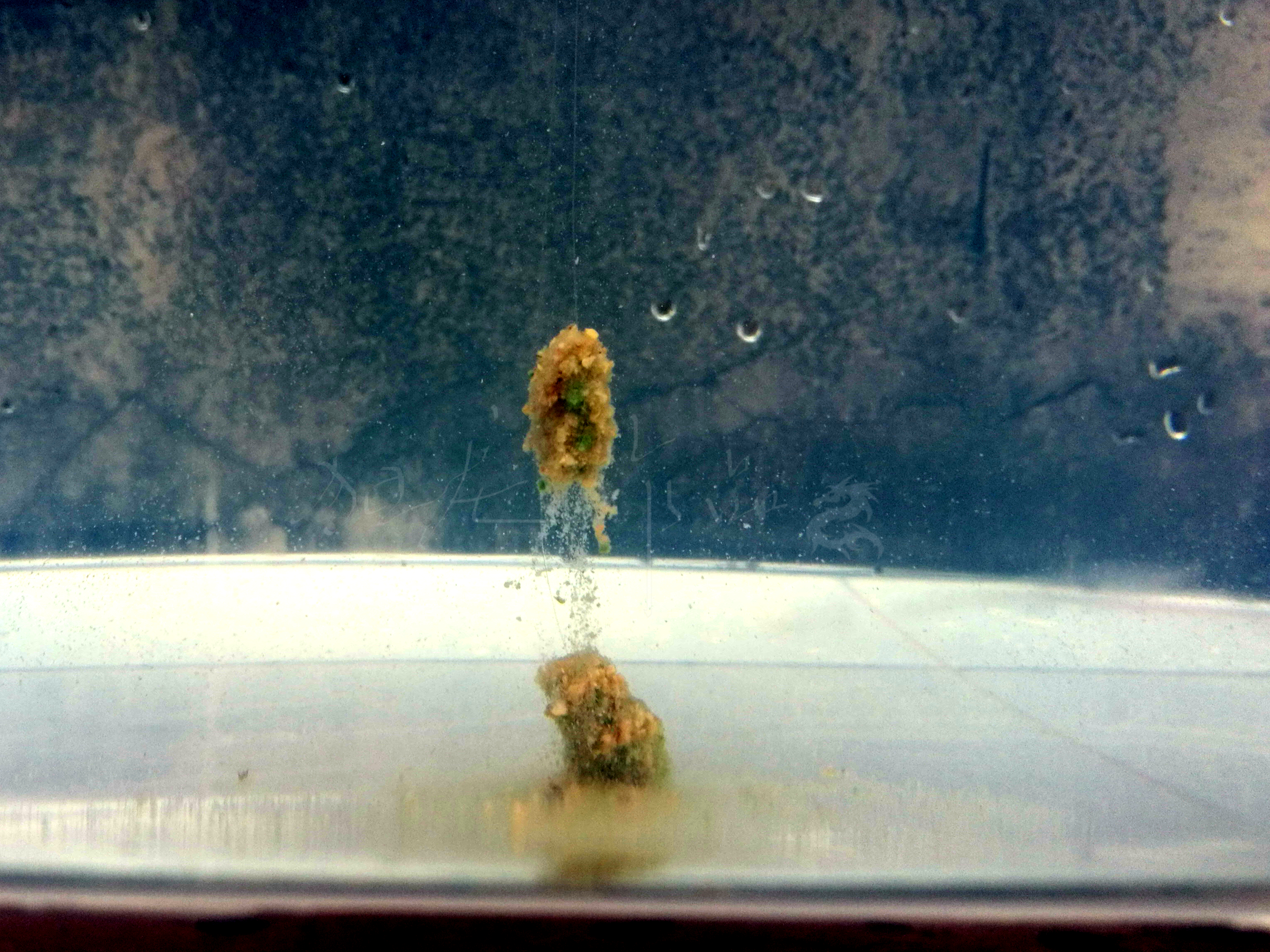 悬浮触底躺底三种状态,悬浮状态和漂浮状态