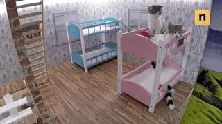 是时候公开我最嫉妒的这30万人了