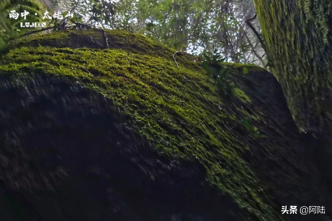 雨中爬太姥山,雨中登太姥山