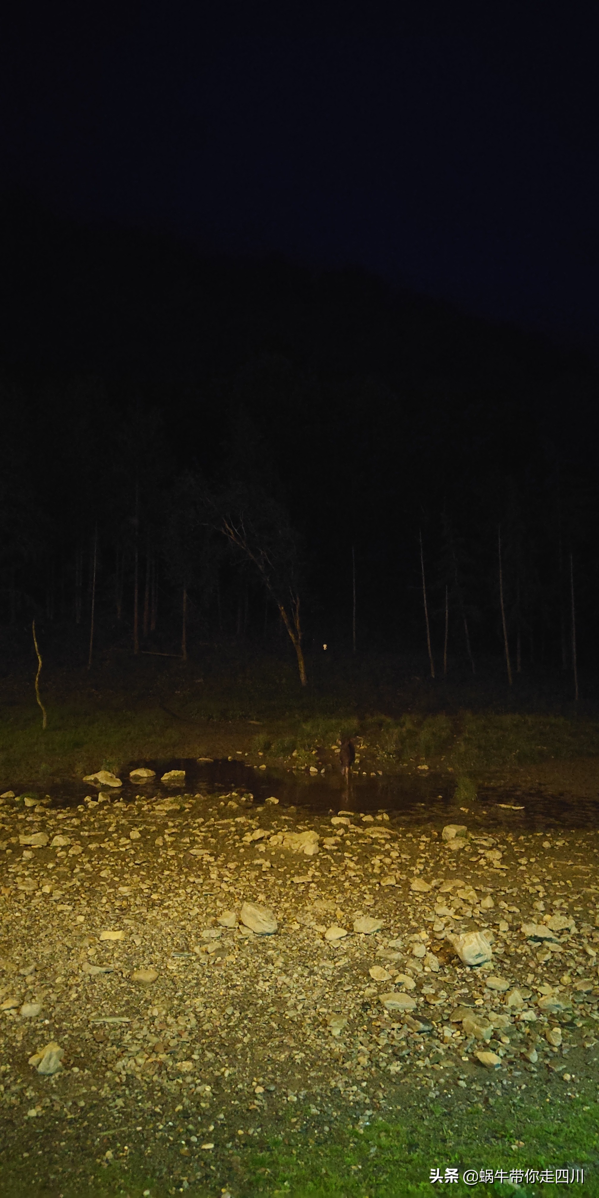 成都到西藏旅游一家三口,成都出发三天两夜旅行套票