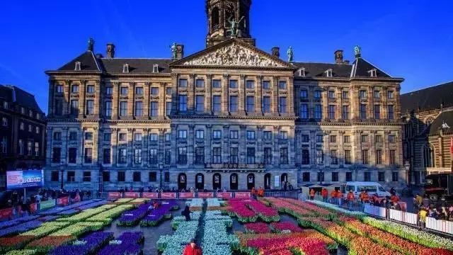 花卉蔬菜制作教程,花卉怎么做