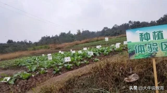 师陶圣地，育才摇篮，近七年数据深度剖析，祝中考学子乘风破浪