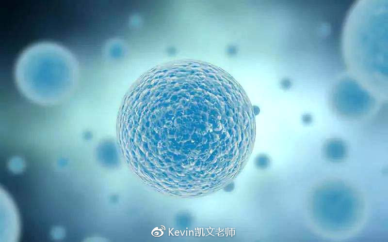 BOZ宝致|朋友圈的代购美妆，是良心推荐？还是狗血纯忽悠？