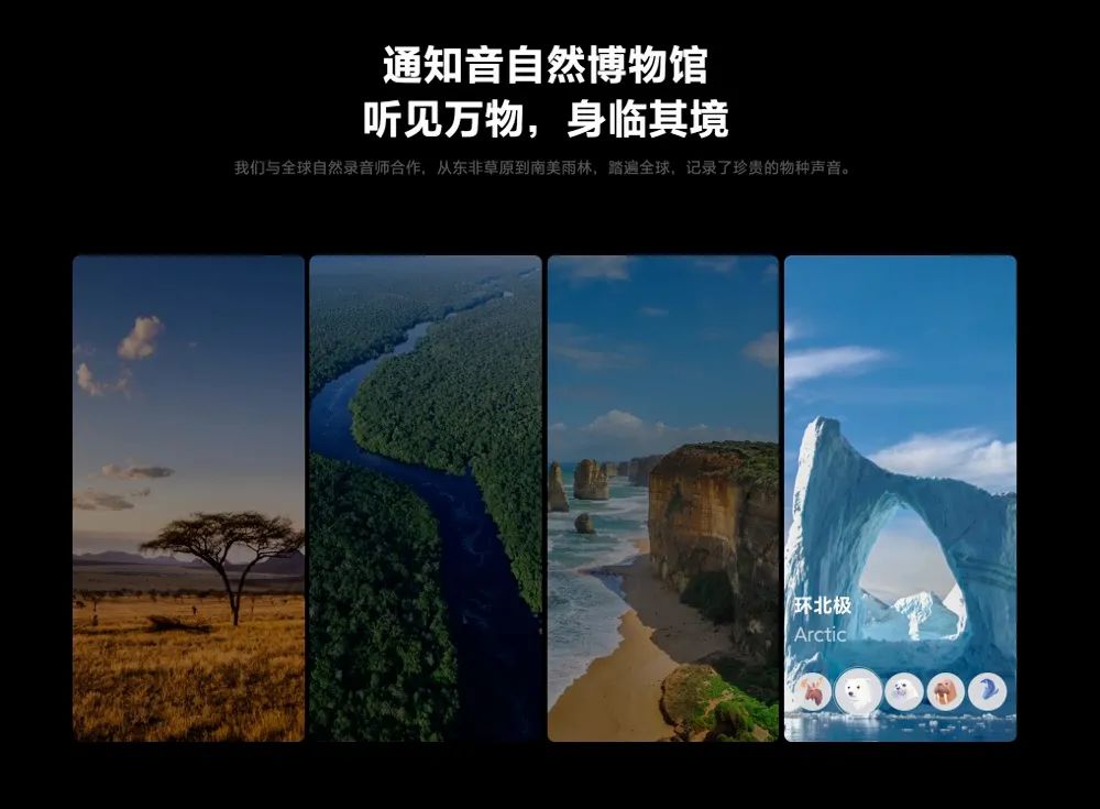 小米11怎么打开一亿像素,小米11屏幕欣赏