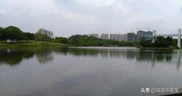 东莞以西湖命名的游乐园，是一个风景很美的地方