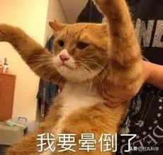 为什么不洗澡身体会变臭,长时间不洗澡会得病吗