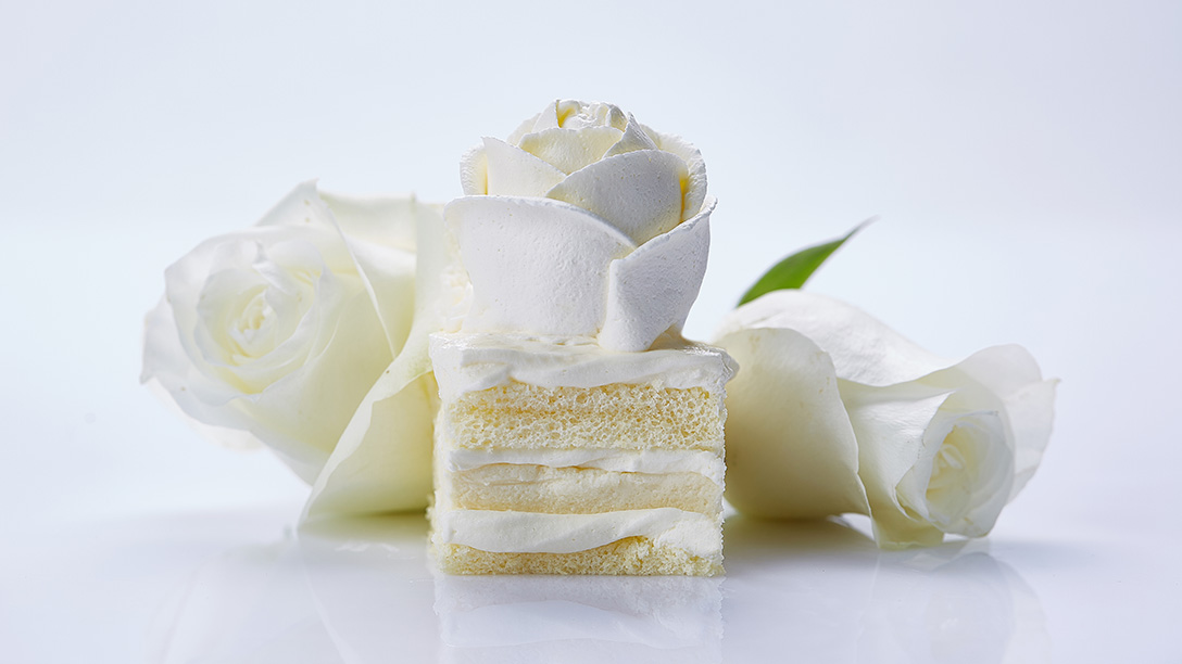 21cake文案,21cake文案谁写的