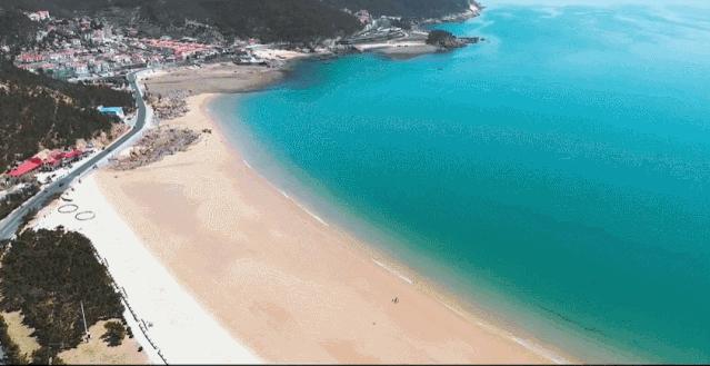 海滨老城泡桐花 (海滨老城紫色泡桐花)