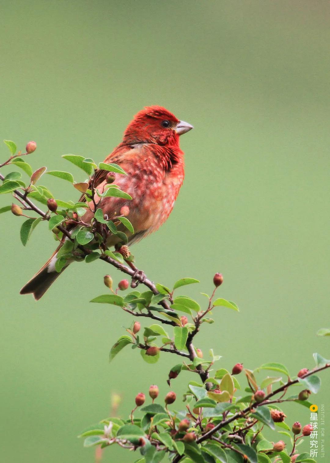 林草领域知识图谱,林草科普专业术语