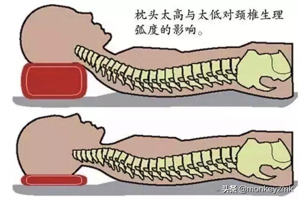 羽绒枕真实推荐,乳胶枕价格为什么差别很大