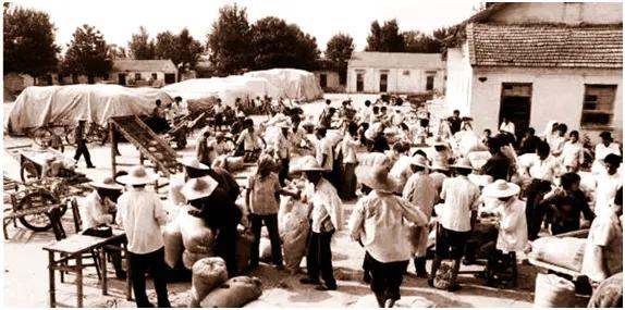 真实的新发地是什么,新发地到底是哪里