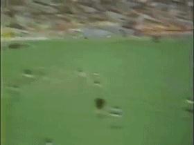 巴西十大足球巨星名单最新,巴西足球十大巨星