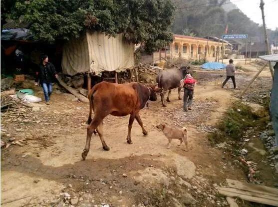 八零后农村姑娘在外地,80后农村姑娘远嫁