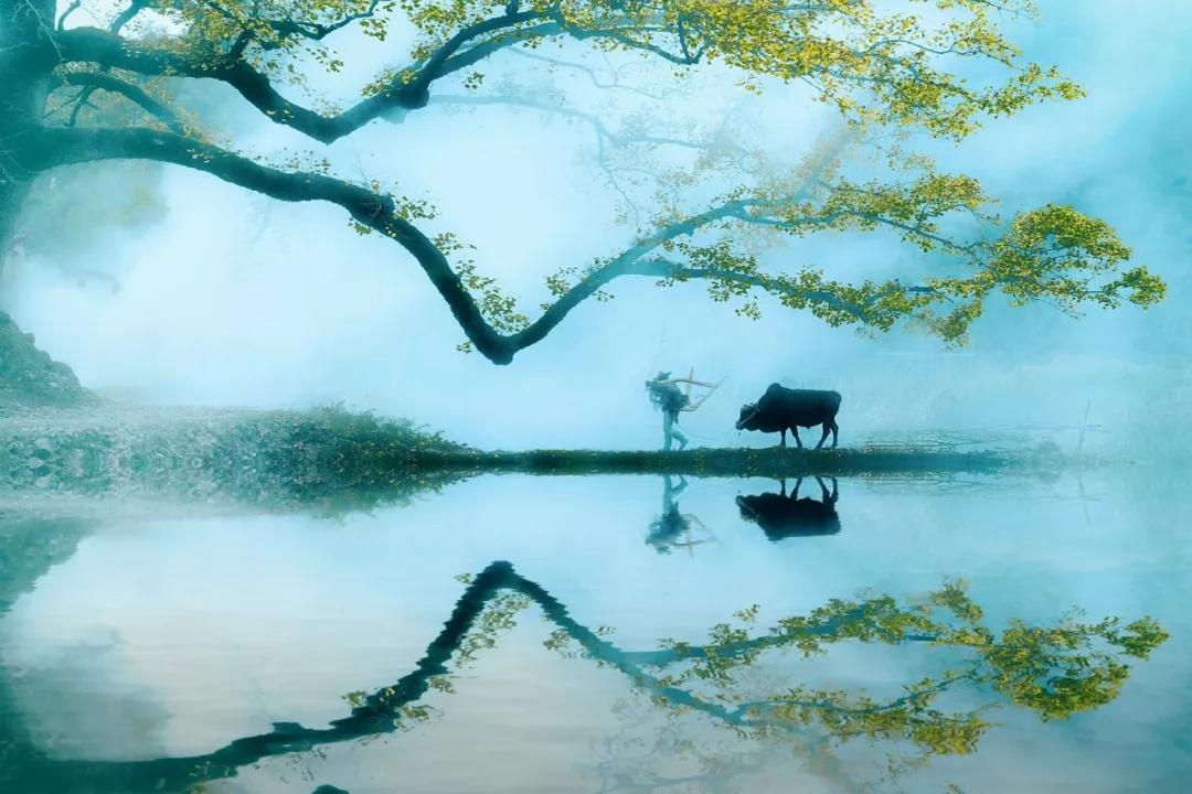 100句激励人心的励志诗句,励志诗词名句朗诵