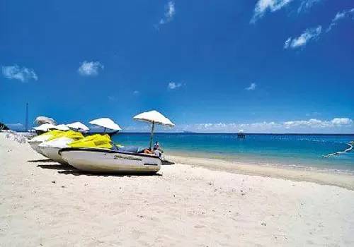 史上最全海鲜视频,史上最全海鲜贝类大全