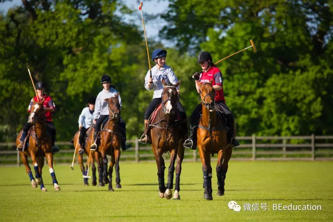 陪读还是全寄宿？“孩子还小”也许是家长对孩子最大的误解