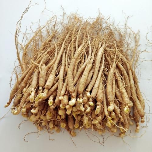 据说长白山人参很便宜,七月长白山两天一晚多少钱