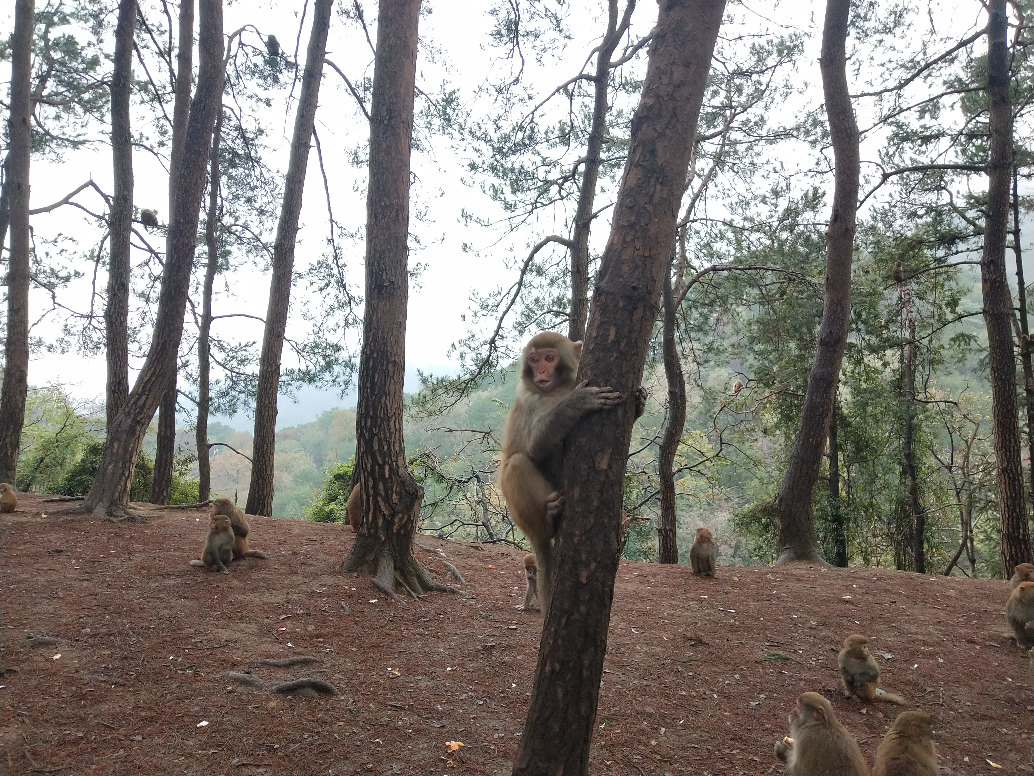 微游贵阳：深度玩透黔灵公园之自然风景