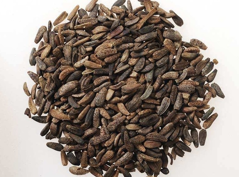 利咽中药牛蒡子,牛蒡子的功能主治