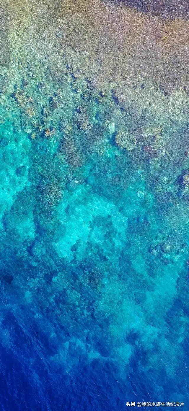 超高清海洋沙滩风景壁纸全屏,壁纸分享特别的海洋壁纸