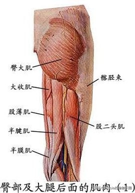 创造营里论腿更服苏有朋，明星私教揭秘：竟因他做了这个瘦腿动作