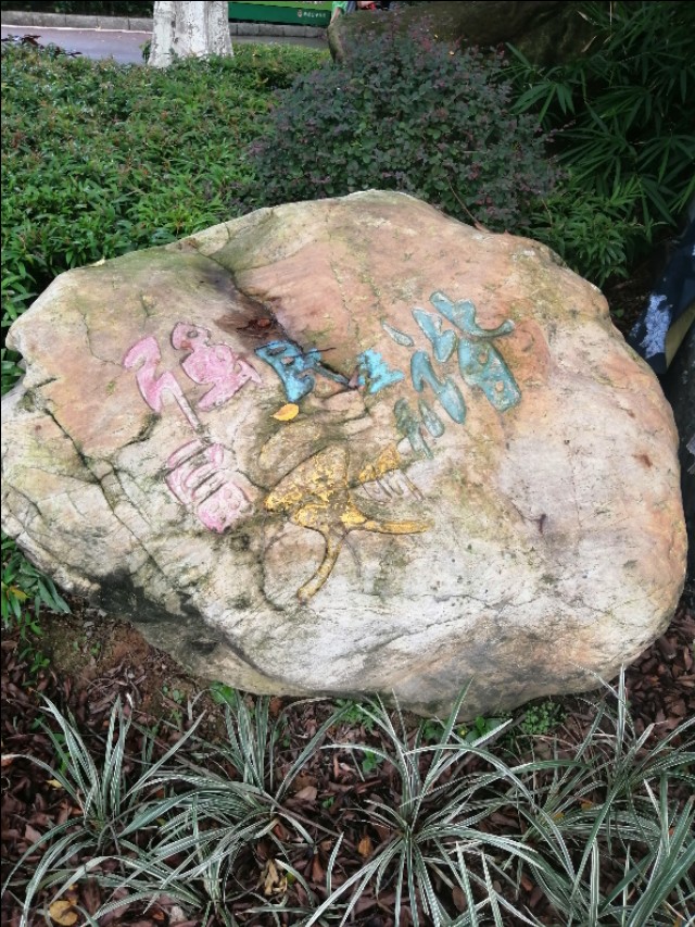 东莞旗峰公园掠影,东莞旗峰公园大体俯视图片