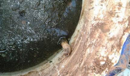 家有小院别忘了养一缸荷花,观赏型的在庭院的荷花怎么养