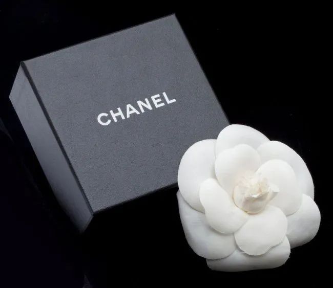 chanel为什么是山茶花,格悟