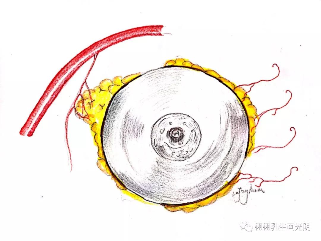 最贵的房子内部,最贵的房子内部图片