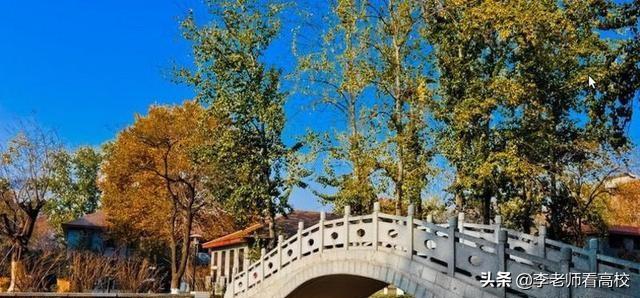 山东省双一流大学最新入选名单,山东大学临床医学为啥入选双一流