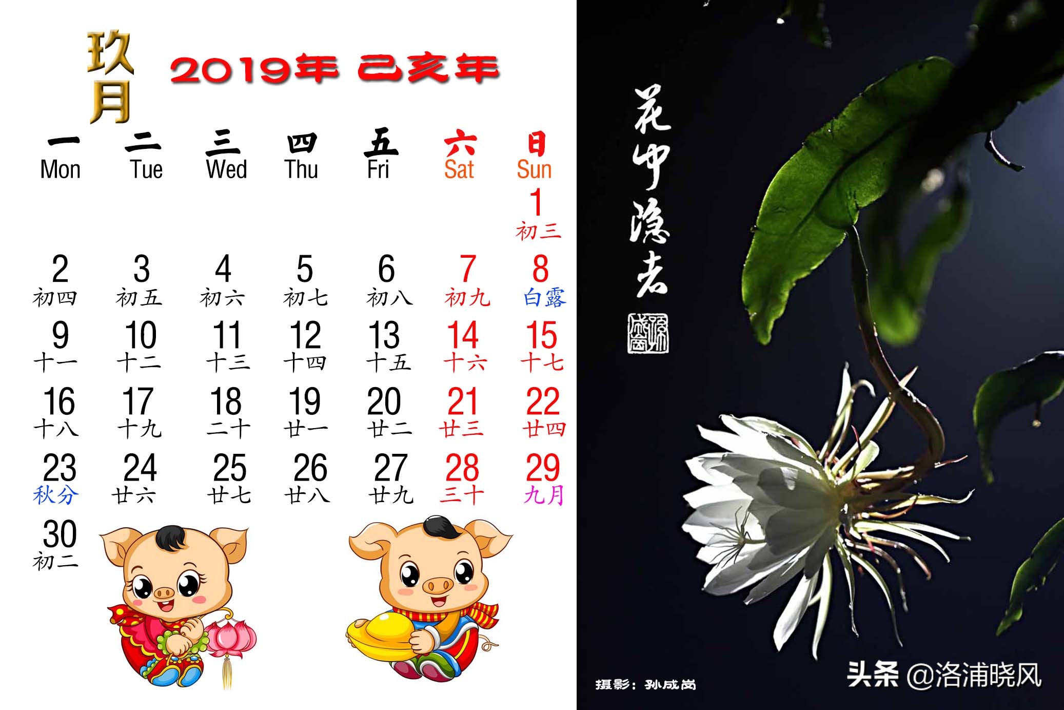 二十四节气日历大全,二十四节气日历表与图片