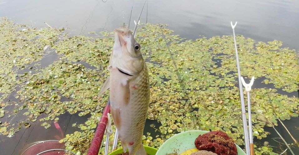 山地自行车软尾和硬尾有什么区别,软尾山地车和硬尾有什么区别