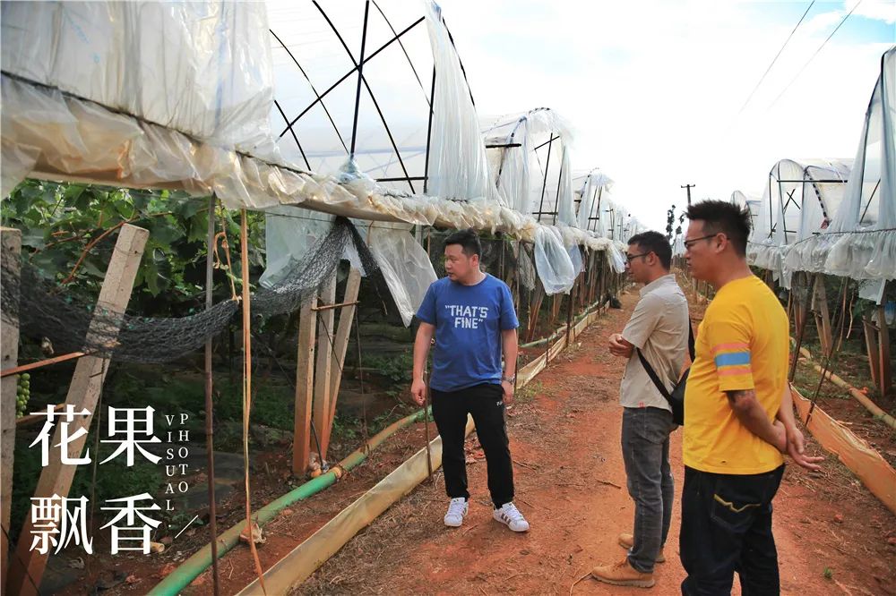 农业到底有多难,农业难果农难吗