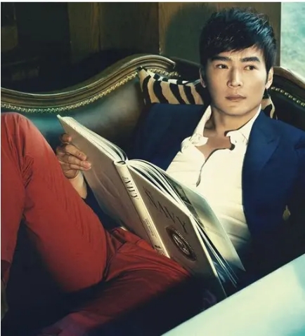 邓丽君成龙林青霞,林青霞邓丽君成龙说家乡话