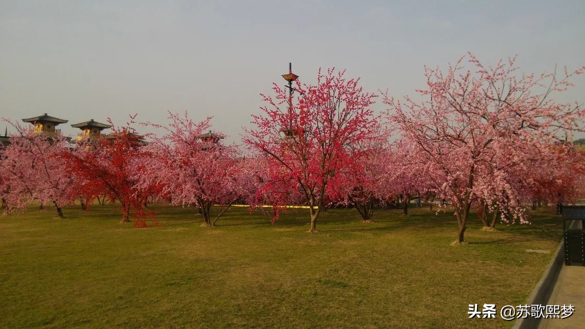 我和横店有个缘