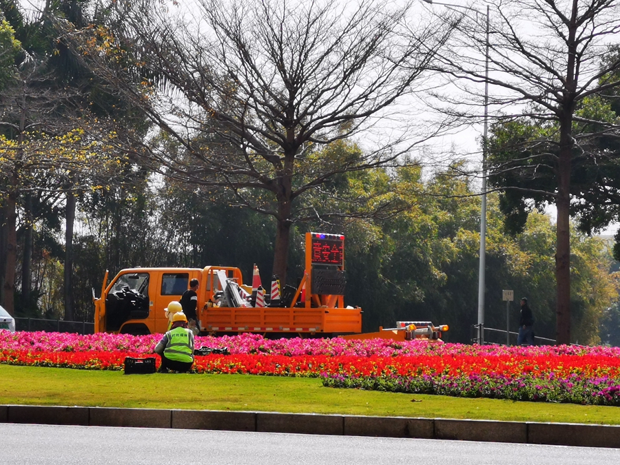 航拍深圳深南大道高楼,深圳福田区高楼打卡拍照