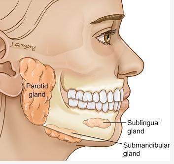 怎么消除口水音,如何避免口水音保证配音效果