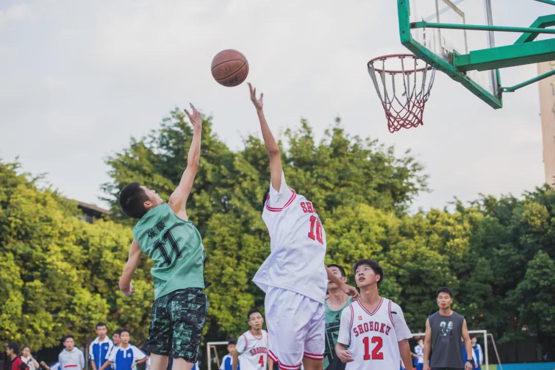 成都佳兴外国语学校五年级,成都佳兴外国语学校招生电话