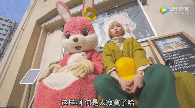 日本网红女孩事件,日本女网红事件